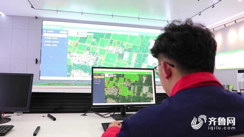 智慧大腦賦能田間地頭，聊城全面推廣科技種田新圖景