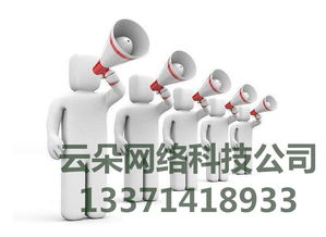 云朵網(wǎng)絡(luò) 專業(yè)SEO優(yōu)化外包服務(wù)，科技賦能網(wǎng)絡(luò)營銷推廣